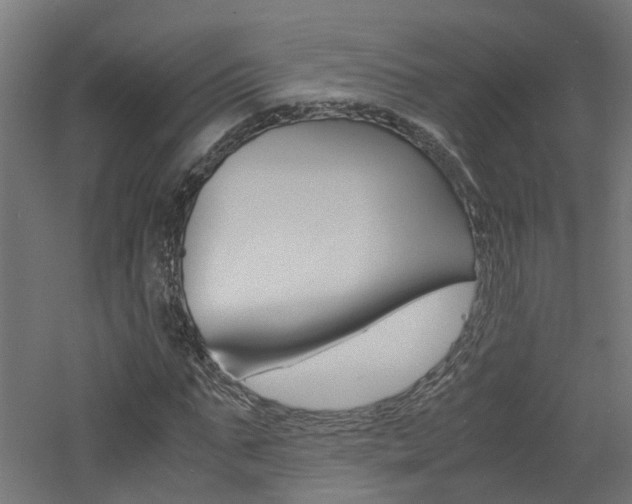 X0000060780871200511101005