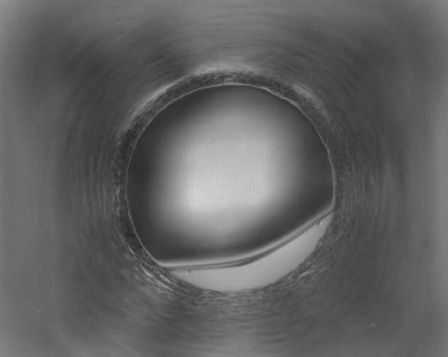 X0000060780872200511101005