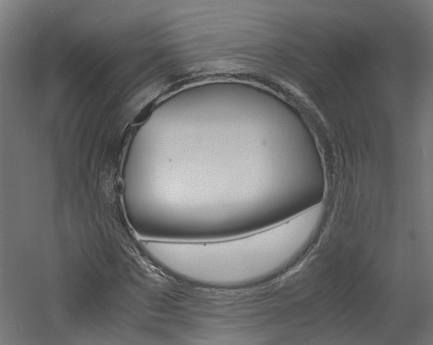 X0000060780873200511101005