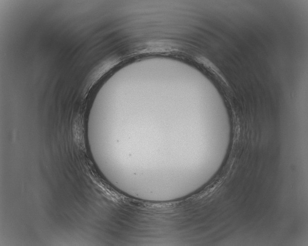 X0000060780874200511101005