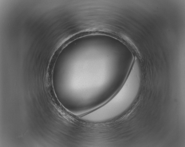 X0000060780876200511101005