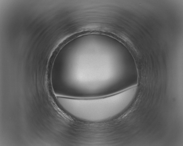 X0000060780880200511101005