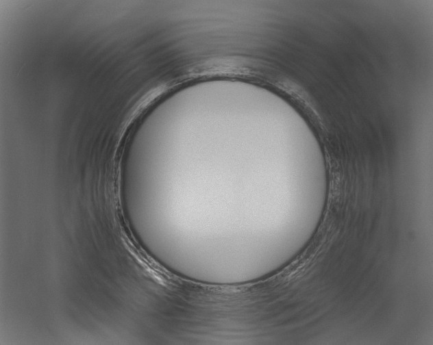 X0000060780882200511101005