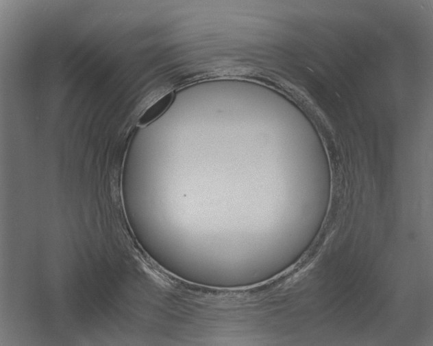 X0000060780889200511101005