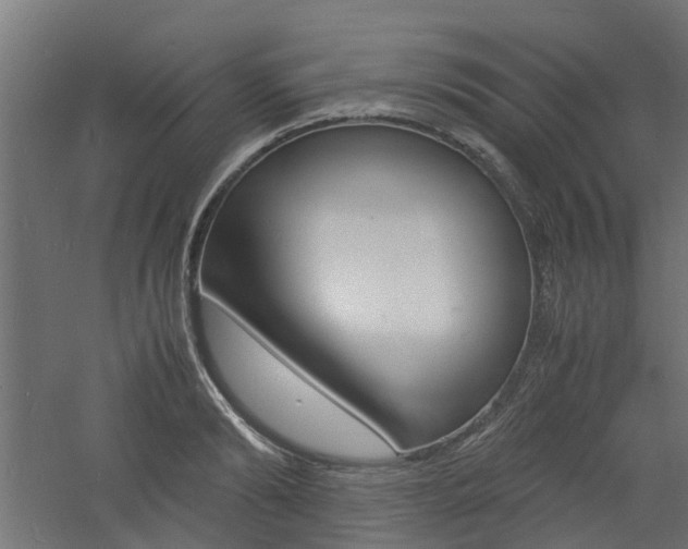 X0000060780894200511101005