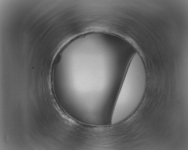 X0000060780904200511101005