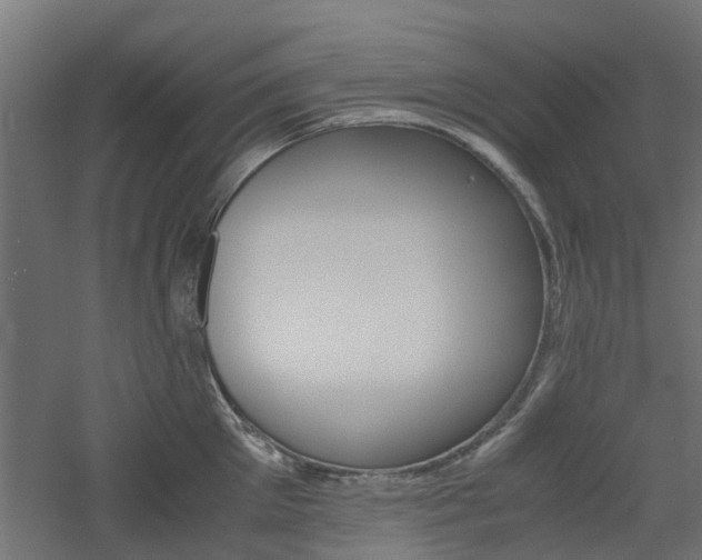 X0000060780905200511101005