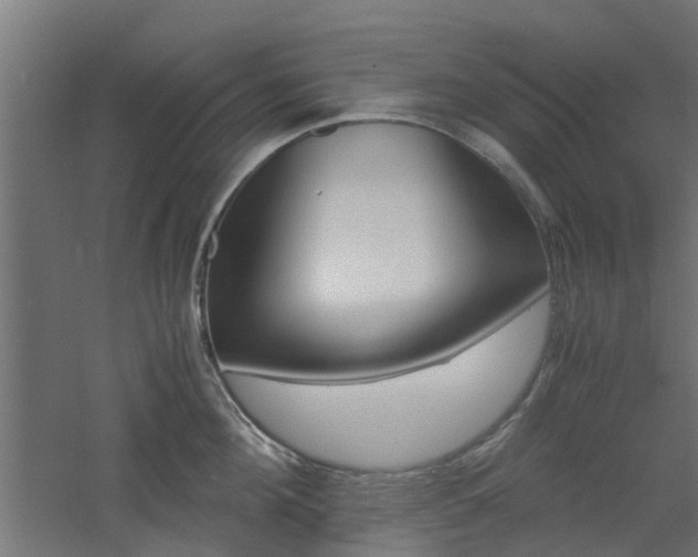 X0000060780908200511101005