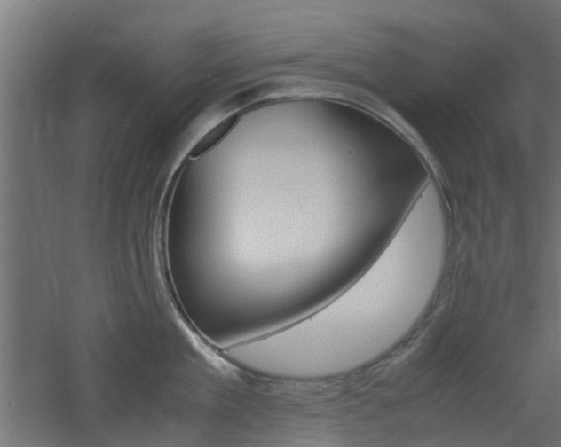 X0000060780909200511101005