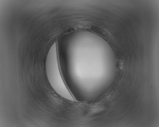 X0000060780915200511101004