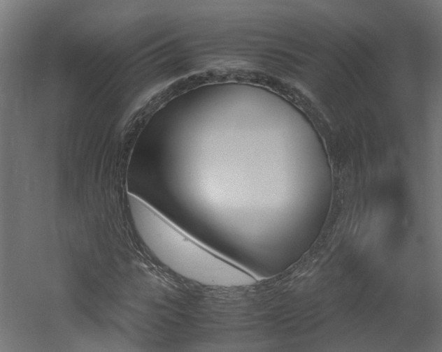 X0000060780919200511101004