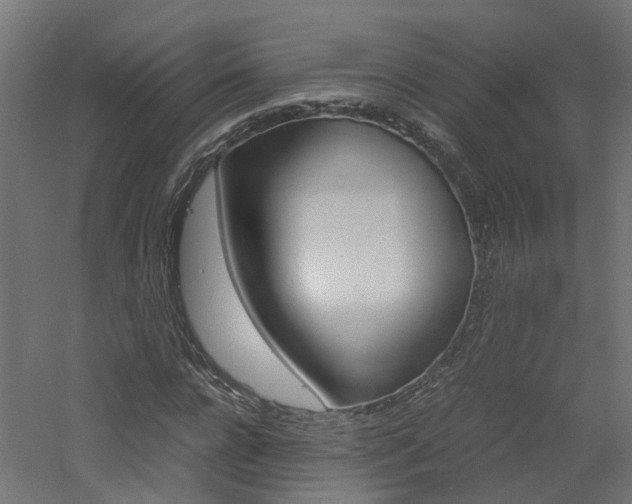 X0000060780920200511101004
