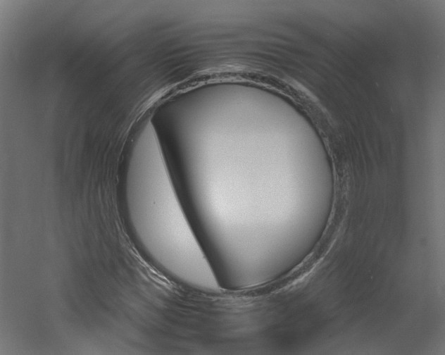X0000060780921200511101004