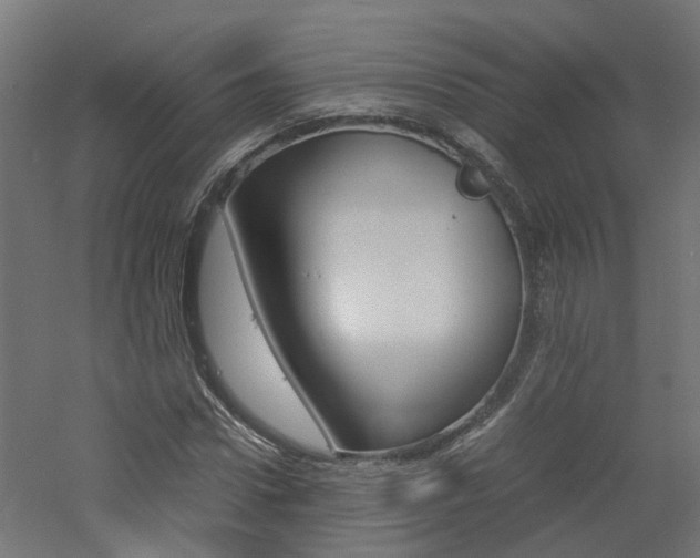 X0000060780922200511101004