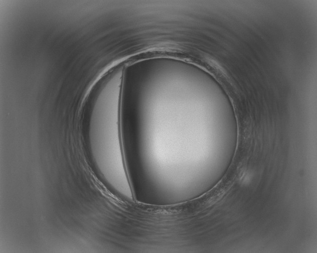 X0000060780923200511101004