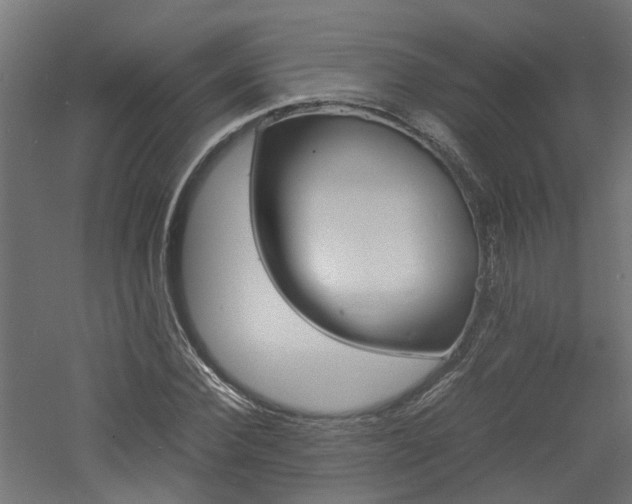 X0000060780924200511101004