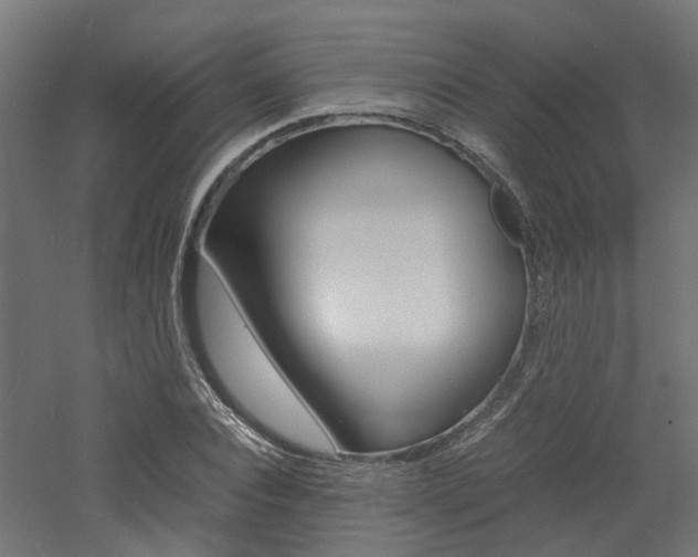 X0000060780928200511101004