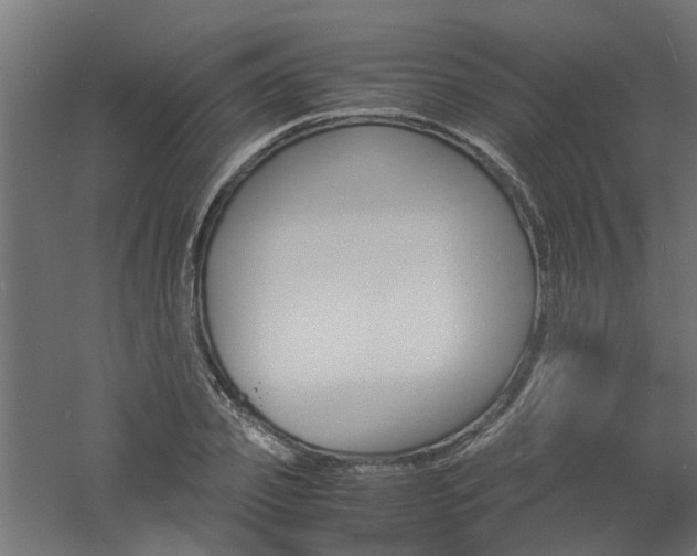 X0000060780933200511101004