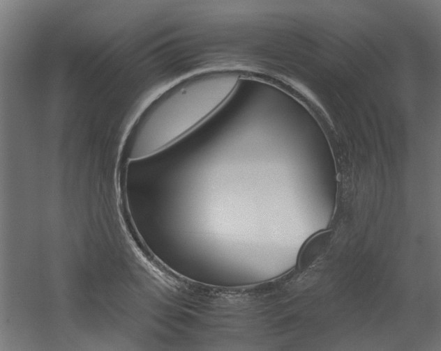 X0000060780935200511101004