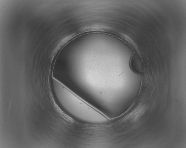 X0000060780938200511101004