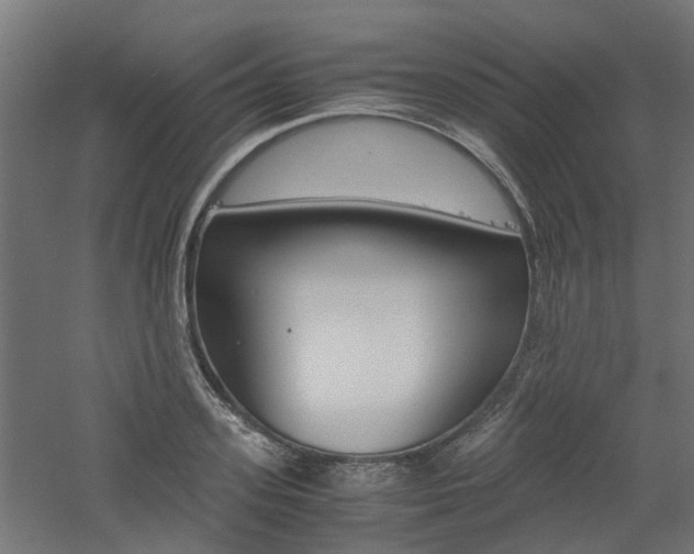 X0000060780939200511101004