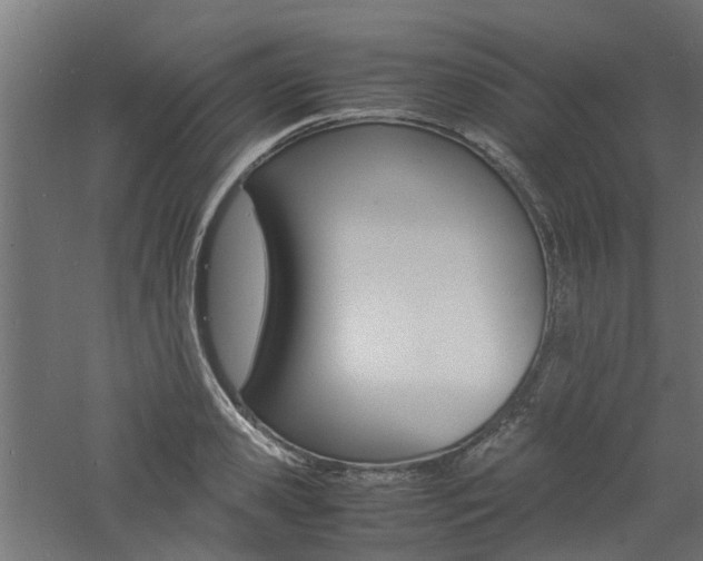 X0000060780941200511101004