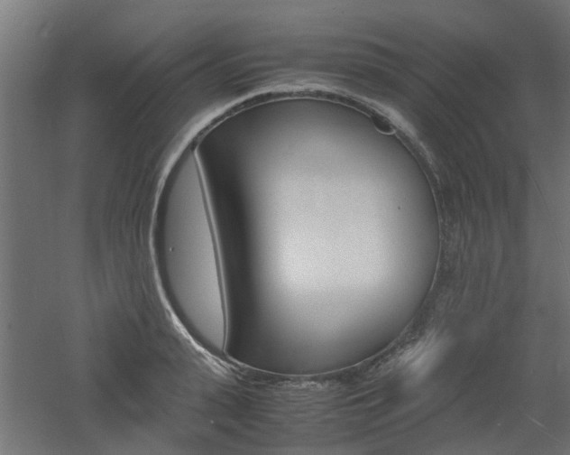 X0000060780943200511101004