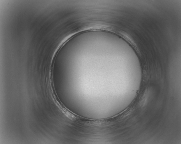 X0000060780948200511101005