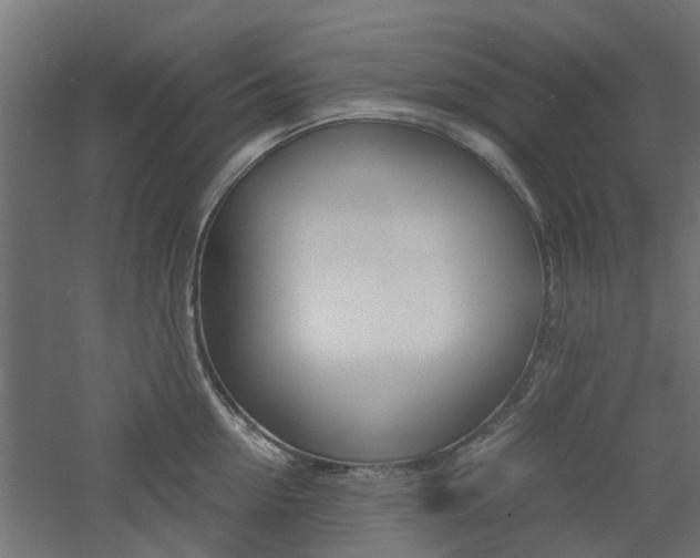 X0000060780954200511101005