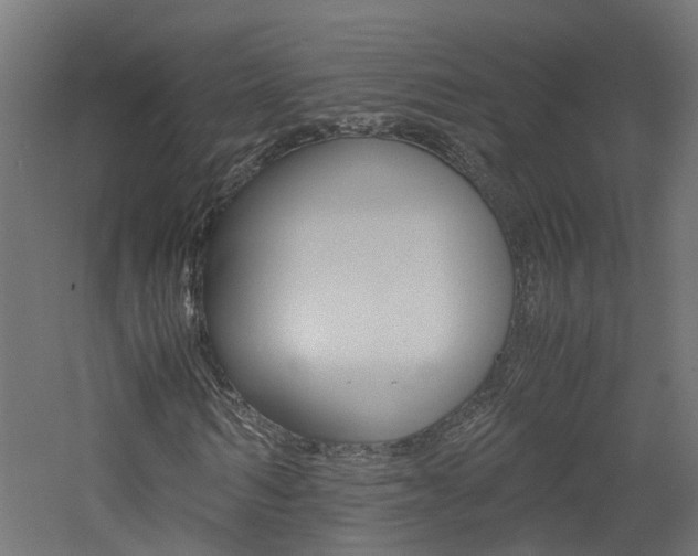 X0000060780962200511101004