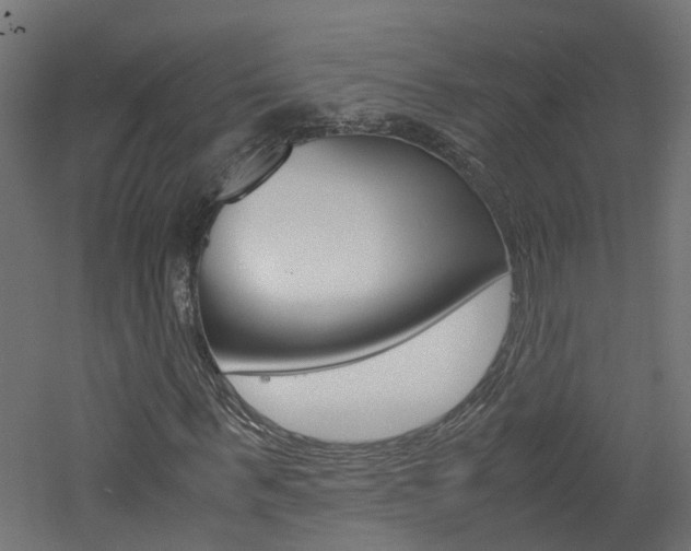 X0000060780963200511101004