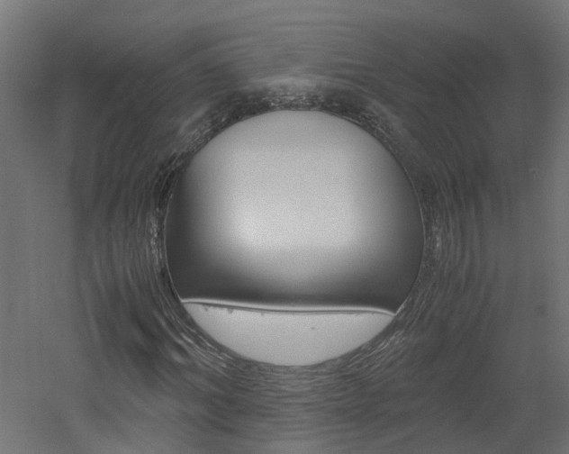 X0000060780964200511101004