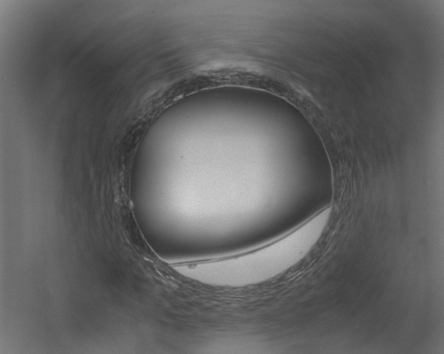 X0000060780965200511101004