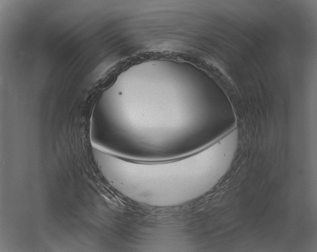 X0000060780968200511101004