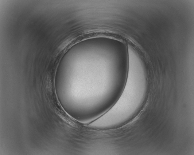 X0000060780969200511101004