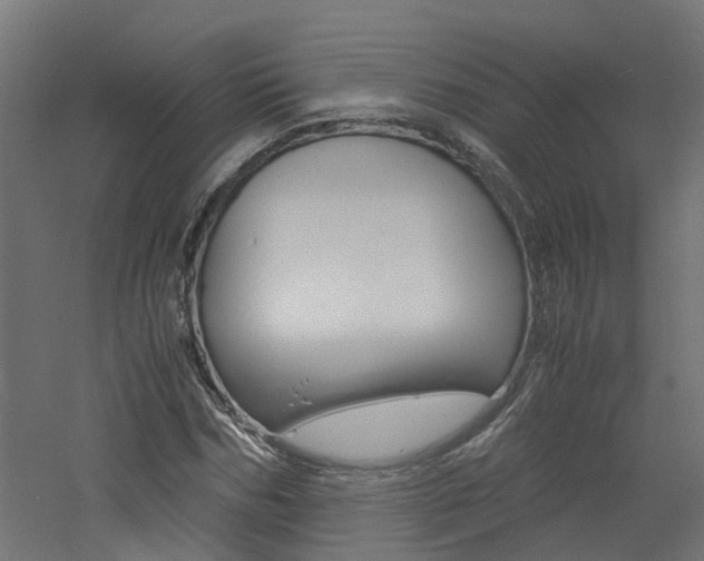 X0000060780970200511101004
