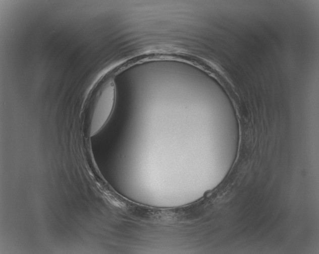 X0000060780971200511101004