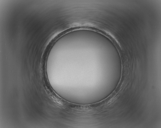 X0000060780975200511101004