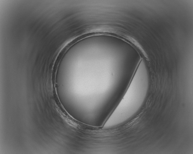 X0000060780980200511101004