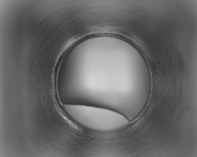 X0000060780982200511101004