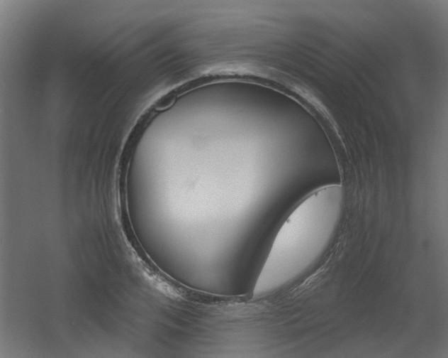 X0000060780984200511101004