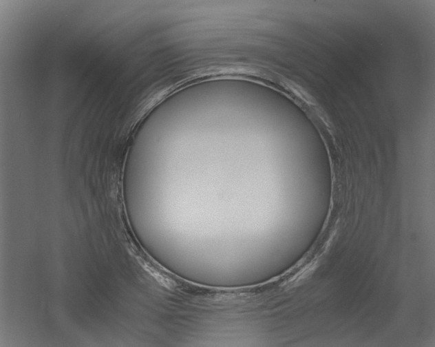 X0000060780985200511101004