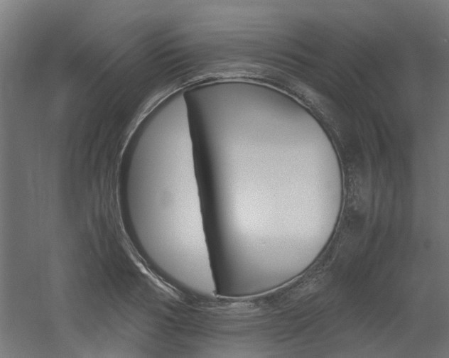 X0000060780986200511101004