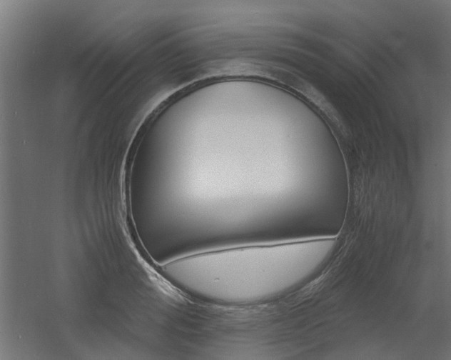 X0000060780988200511101003