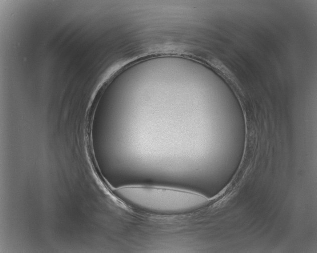 X0000060780989200511101003