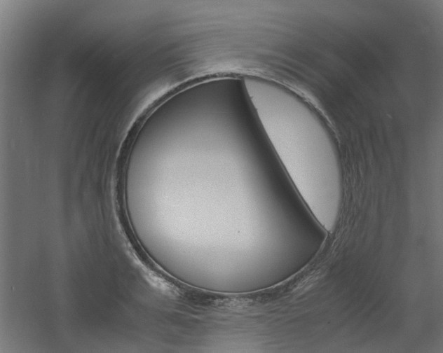 X0000060780991200511101003