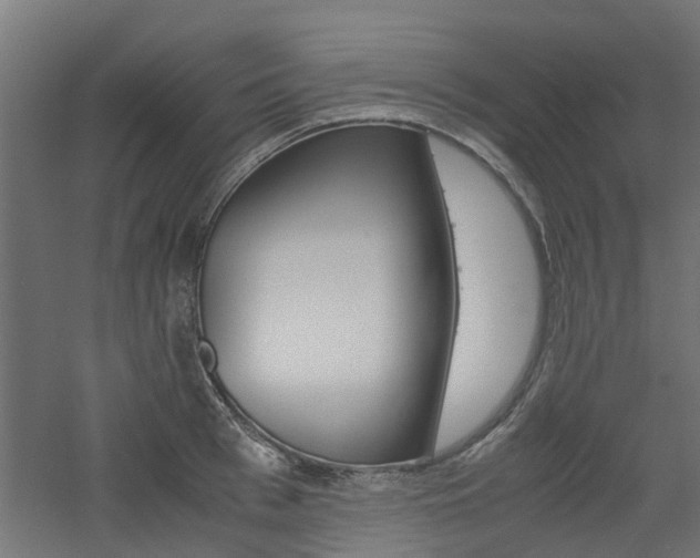 X0000060780993200511101003