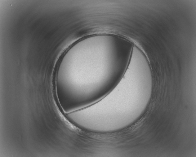 X0000060780995200511101003
