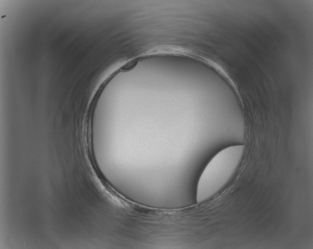 X0000060781003200511101003