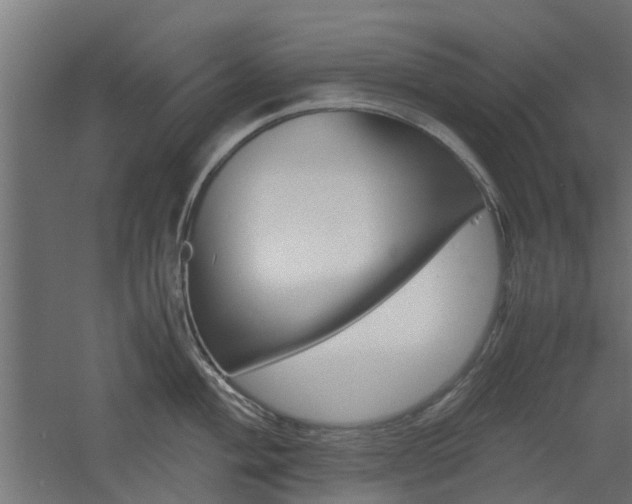 X0000060781004200511101003